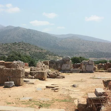 Arkadi *